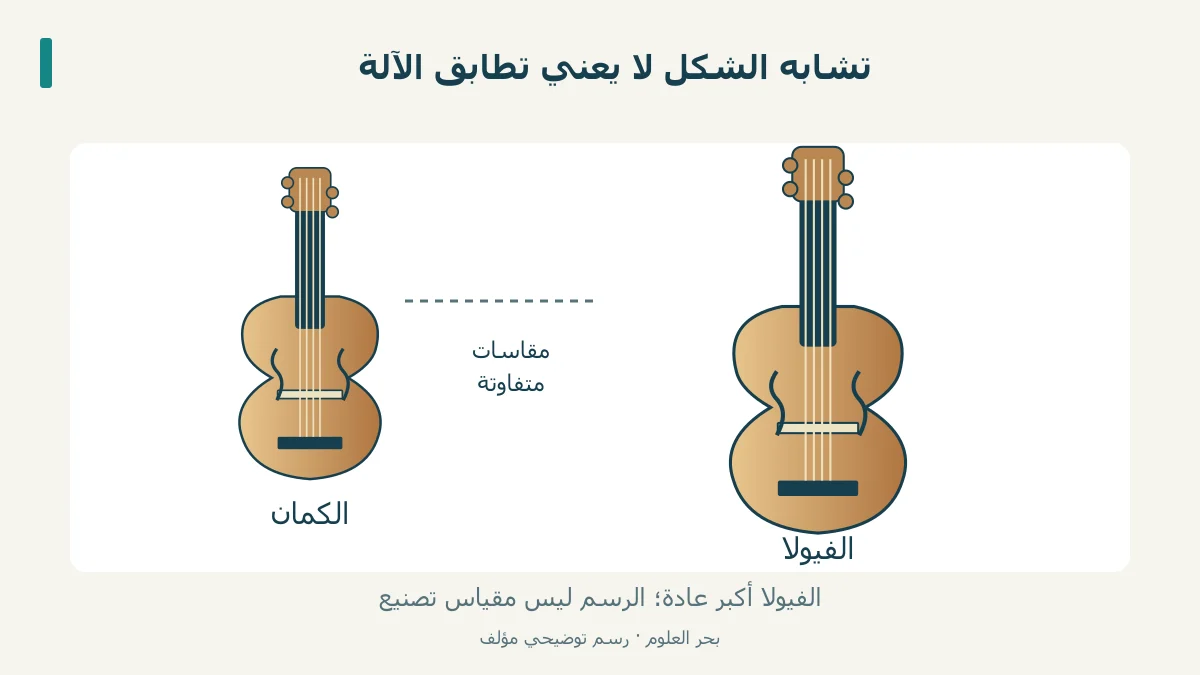 مقارنة أصلية بين جسم كمان وجسم فيولا أكبر عادة، مع أربعة أوتار لكل منهما.