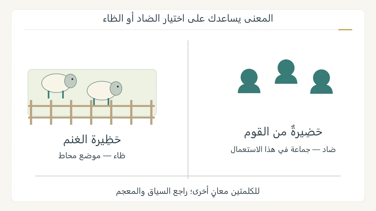 رسم لغوي أصلي لمجموعة أشخاص تقابل غنمًا داخل سياج، يربط حضيرة القوم بالضاد وحظيرة الغنم بالظاء