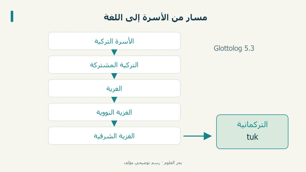 مسار تصنيف التركمانية من الأسرة التركية إلى اللغة
