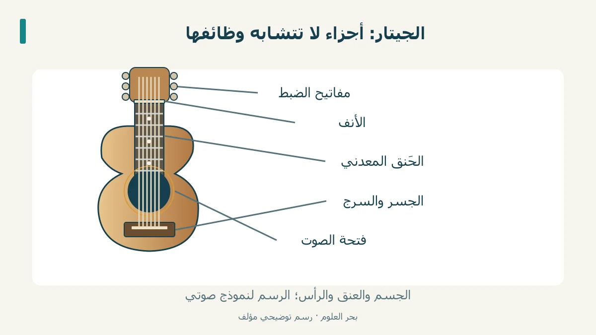رسم جيتار صوتي يحدد الأنف والسرج والجسر ولوحة الأصابع.