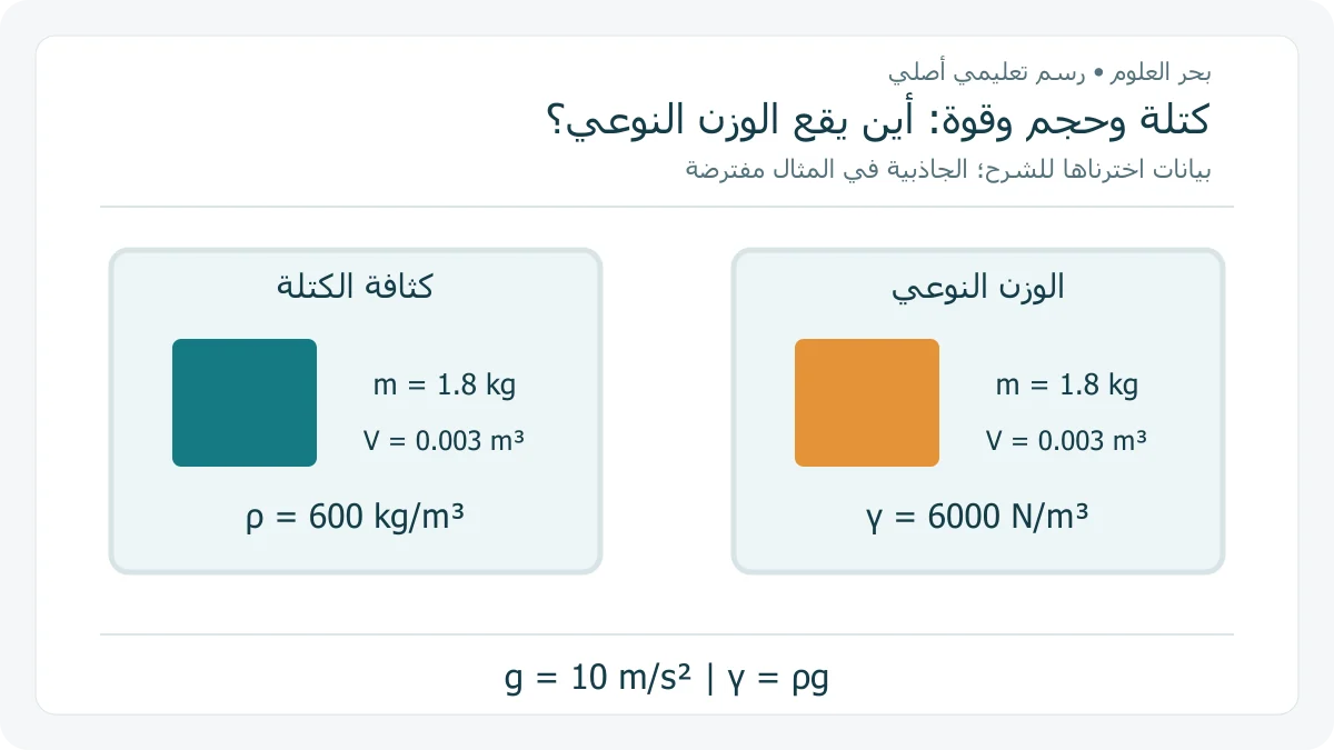 بطاقتان أصليتان لكثافة عينة افتراضية ووزنها النوعي