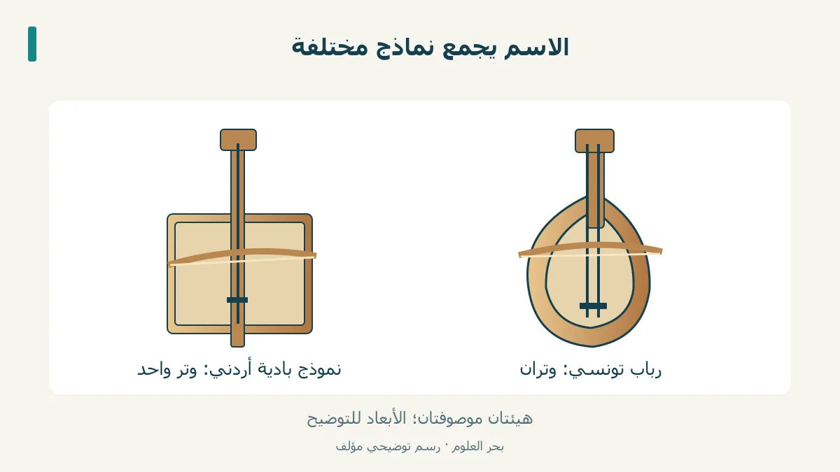 رسم مقارن لنموذج ربابة بدوية بوتر واحد ورباب تونسي بوترين.