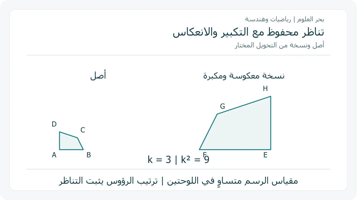 مضلع أصلي ونسخة مكبرة مع انعكاس أفقي