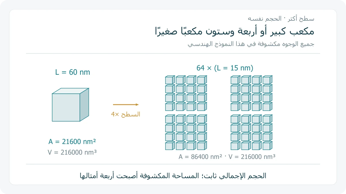 رسم أصلي يقارن مكعبًا ضلع 60 نانومتر مع 64 مكعبًا منفصلًا ضلع كل منها 15 نانومتر، مع ثبات الحجم الكلي وزيادة المساحة المكشوفة