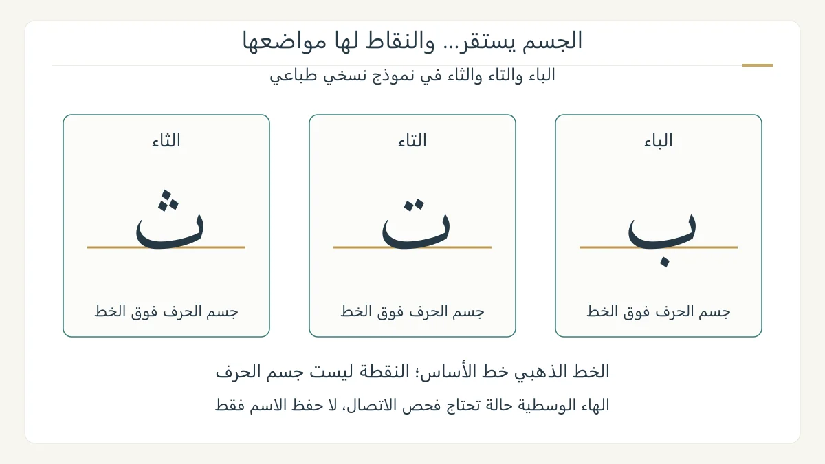 رسم تعليمي أصلي بخط نسخي طباعي يقارن جسم الباء والتاء والثاء المستقر مع نقاطها، ويبين أن الهاء الوسطية تحتاج ملاحظة مستقلة