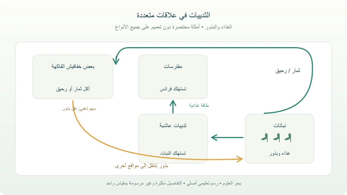 شبكة تعليمية تربط النباتات بالعواشب والمفترسات وتبين نثر بذور بعض الثمار عبر خفافيش الفاكهة