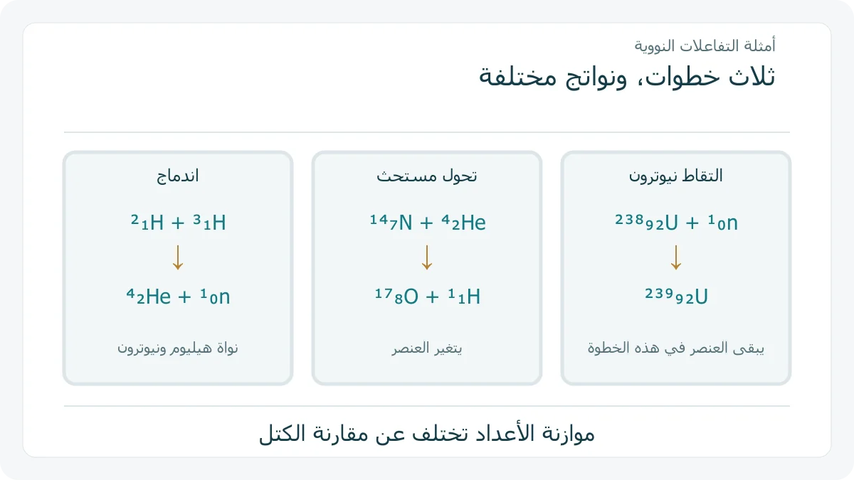 ثلاثة مسارات تعليمية للاندماج وتحول العنصر والتقاط النيوترون
