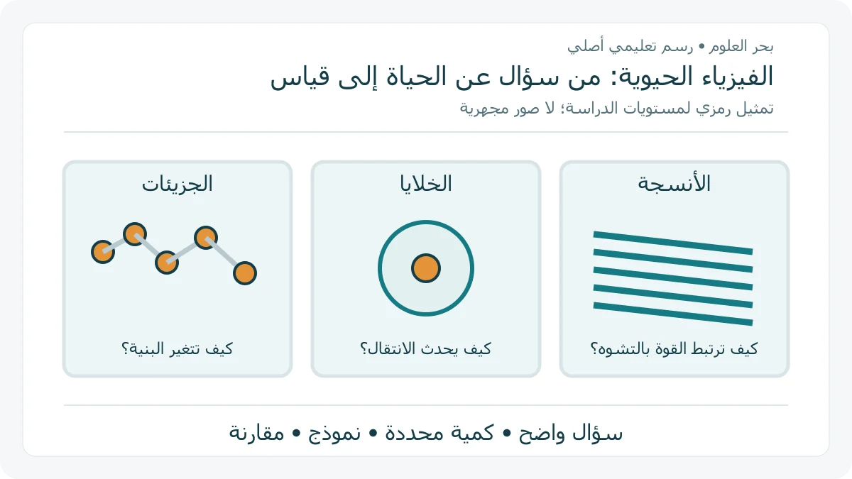 رسم رمزي أصلي لمستويات الجزيئات والخلايا والأنسجة