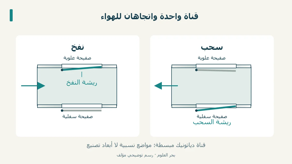 مقطع تعليمي أصلي لقناة في هارمونيكا دياتونيك يوضح ريشة النفخ وريشة السحب.