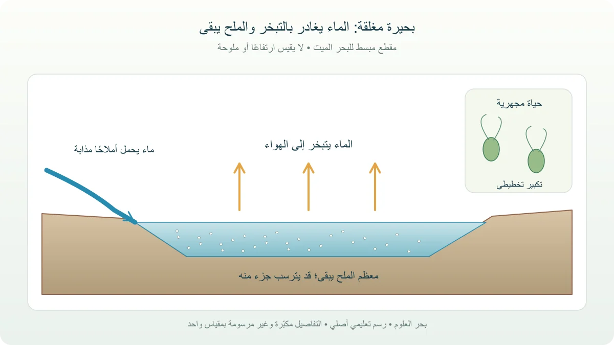 مقطع تعليمي لبحيرة مغلقة يبين دخول ماء وتبخره وبقاء أملاح، مع نافذة مكبرة لكائنات مجهرية
