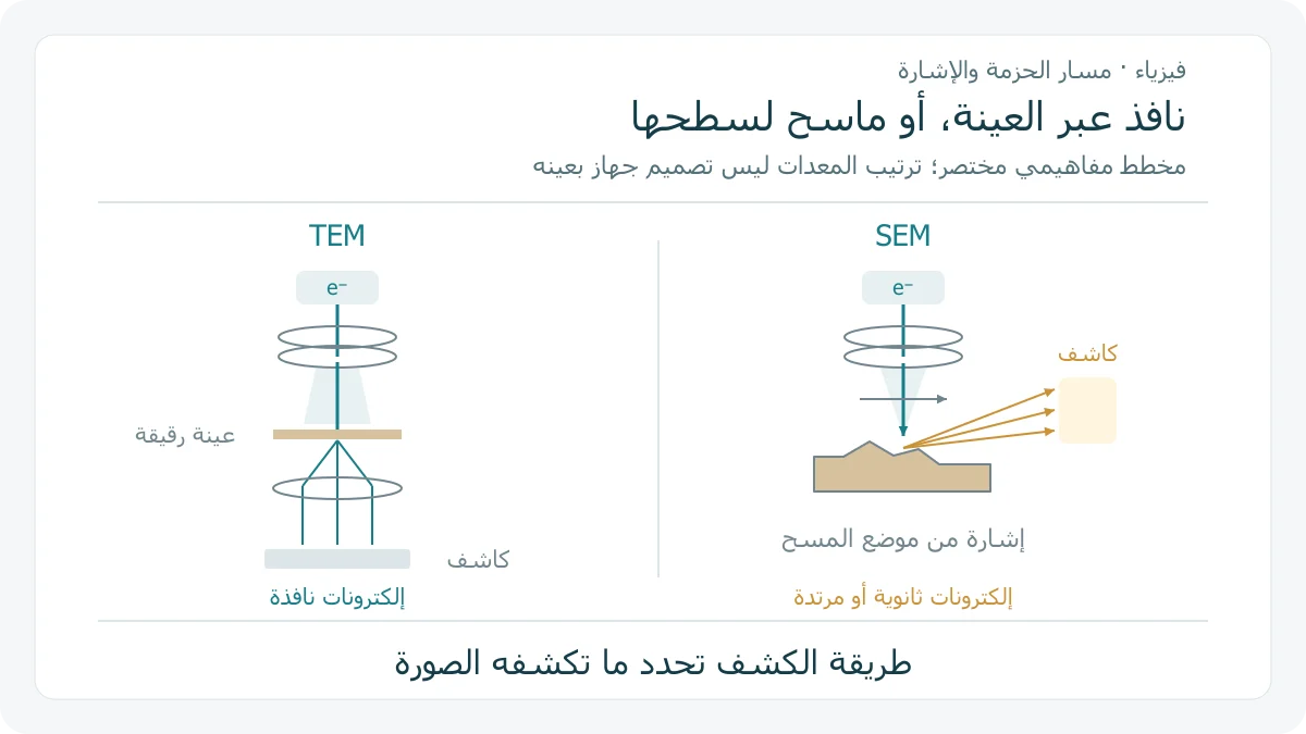 مساران تعليميان أصليان لحزمة إلكترونية؛ في TEM تعبر عينة رقيقة نحو كاشف أسفلها، وفي SEM تركز على سطح العينة وتجمع إشارات بكاشف جانبي