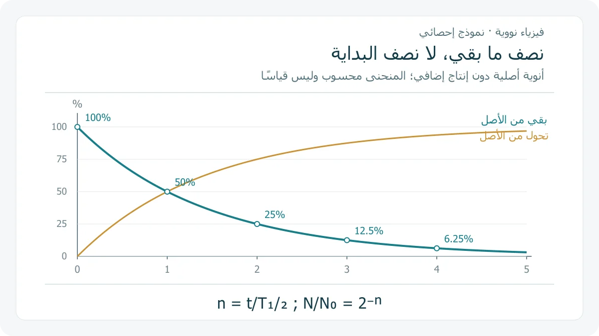 منحنى محسوب لنسبة الأنوية الأصلية الباقية 2 أس سالب عدد أنصاف العمر، ومنحنى للجزء الذي تحول؛ عند 0 و 1 و 2 و 3 و 4 أنصاف عمر المتبقي 100 و 50 و 25 و 12.5 و 6.25 بالمئة