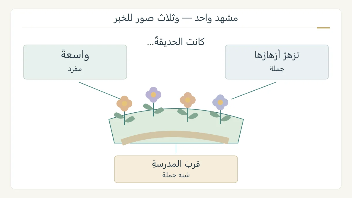 رسم تعليمي أصلي لحديقة تحيط بها ثلاث طرق لإكمال كانت الحديقة: واسعة وتزهر أزهارها وقرب المدرسة
