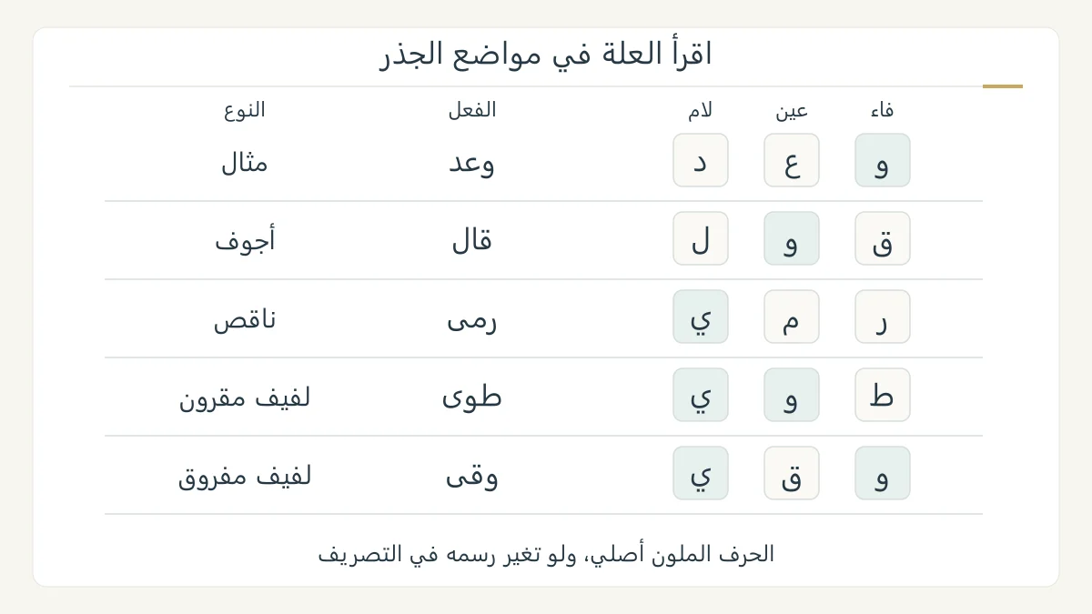خمس صفوف تعليمية أصلية تعرض وعد وقال ورمى وطوى ووقى، وتفصل حروف جذورها مع إبراز مواضع الواو والياء للتمييز بين أنواع المعتل