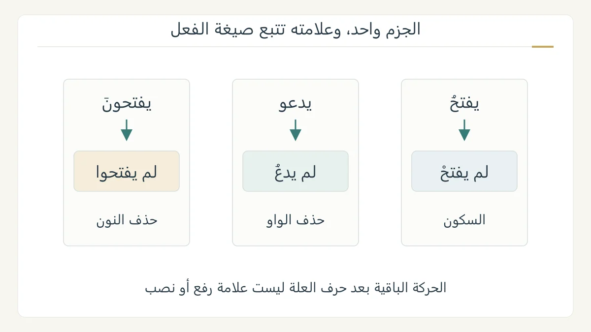 رسم أصلي يقارن يفتح ويدعو ويفتحون بأشكالها بعد لم، ويبرز السكون والواو المحذوفة والنون المحذوفة في ثلاثة مسارات