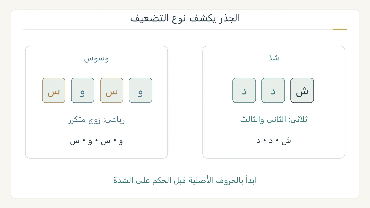 مقارنة جذر شدد بثلاثة مواضع، وجذر وسوس بأربعة مواضع، مع تلوين الحروف المتكررة