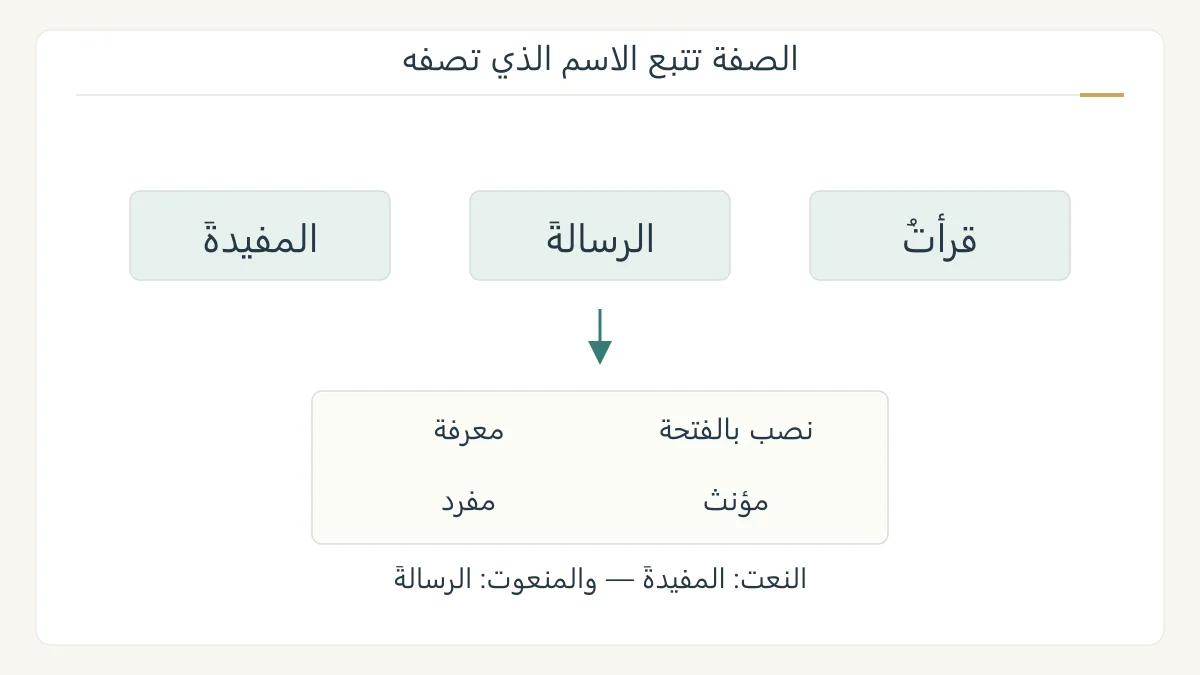 رسم أصلي لجملة قرأت الرسالة المفيدة مع وصل الصفة بالاسم وأربعة معايير: النصب والمعرفة والمؤنث والمفرد