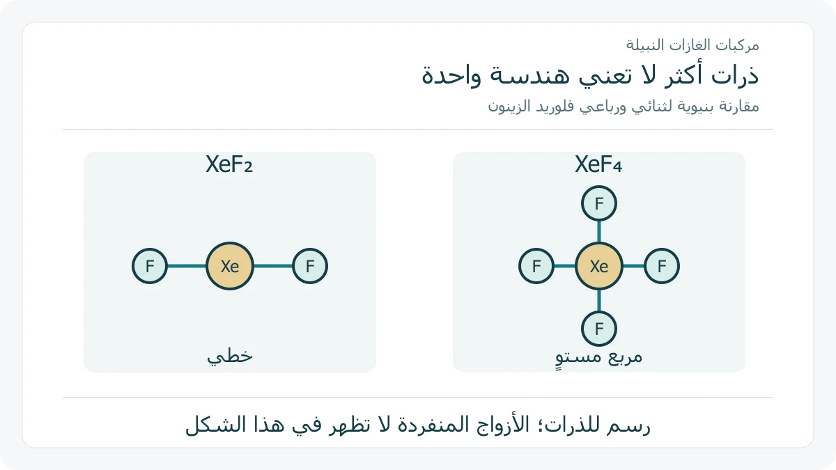 رسم أصلي يقارن جزيء XeF2 الخطي بجزيء XeF4 المربع المستوي