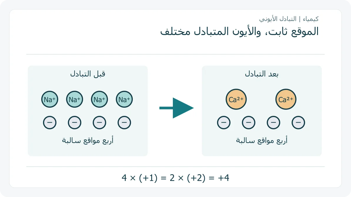 مواقع سالبة ثابتة تقابل صوديومًا ثم كالسيومًا في نموذج أصلي