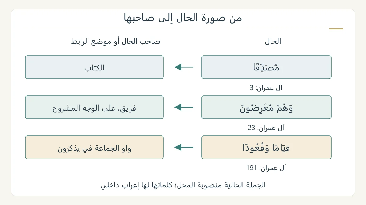 رسم تعليمي أصلي لثلاثة شواهد للحال في آل عمران يوضح الكلمة المنصوبة والجملة الحالية وشبه الجملة المرتبط بحال مقدرة