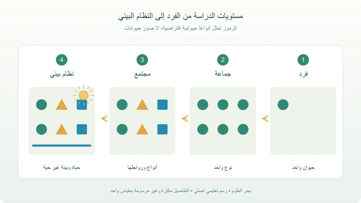 إطارات متدرجة للفرد والجماعة من نوع واحد والمجتمع متعدد الأنواع والنظام البيئي