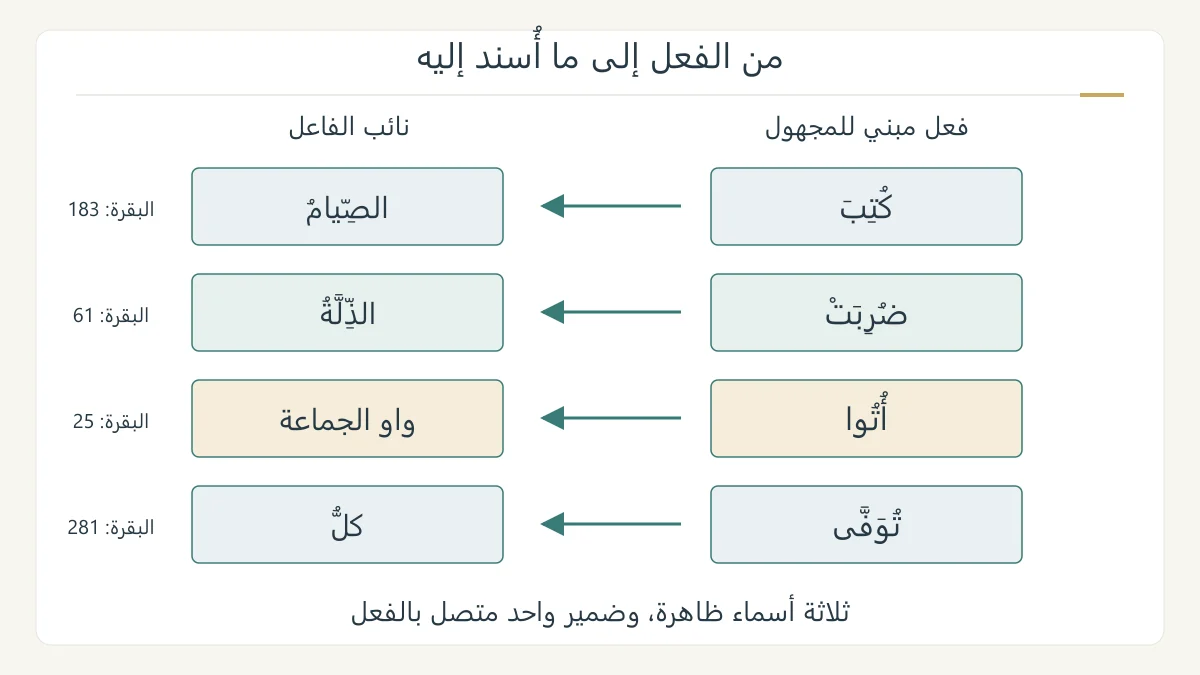 لوحة تعليمية أصلية لأربعة شواهد من البقرة، تربط الفعل المبني للمجهول بنائب فاعله مع تمييز الضمير المتصل من الاسم الظاهر