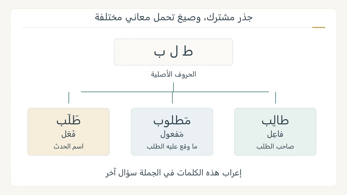 مخطط صرفي أصلي يصل الجذر ط ل ب بطالب على وزن فاعل ومطلوب على وزن مفعول وطلب على وزن فعل، مع اختلاف المعنى
