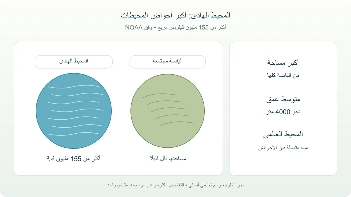 مقارنة مساحية مرسومة بين المحيط الهادئ واليابسة الكلية مع رقم مساحة الهادئ