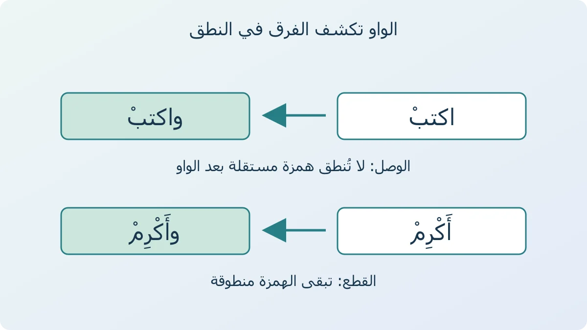 مخطط يقارن اكتب واكتب بحيث تسقط همزة الوصل صوتيا، مع أكرم وأكرم بحيث تبقى همزة القطع منطوقة