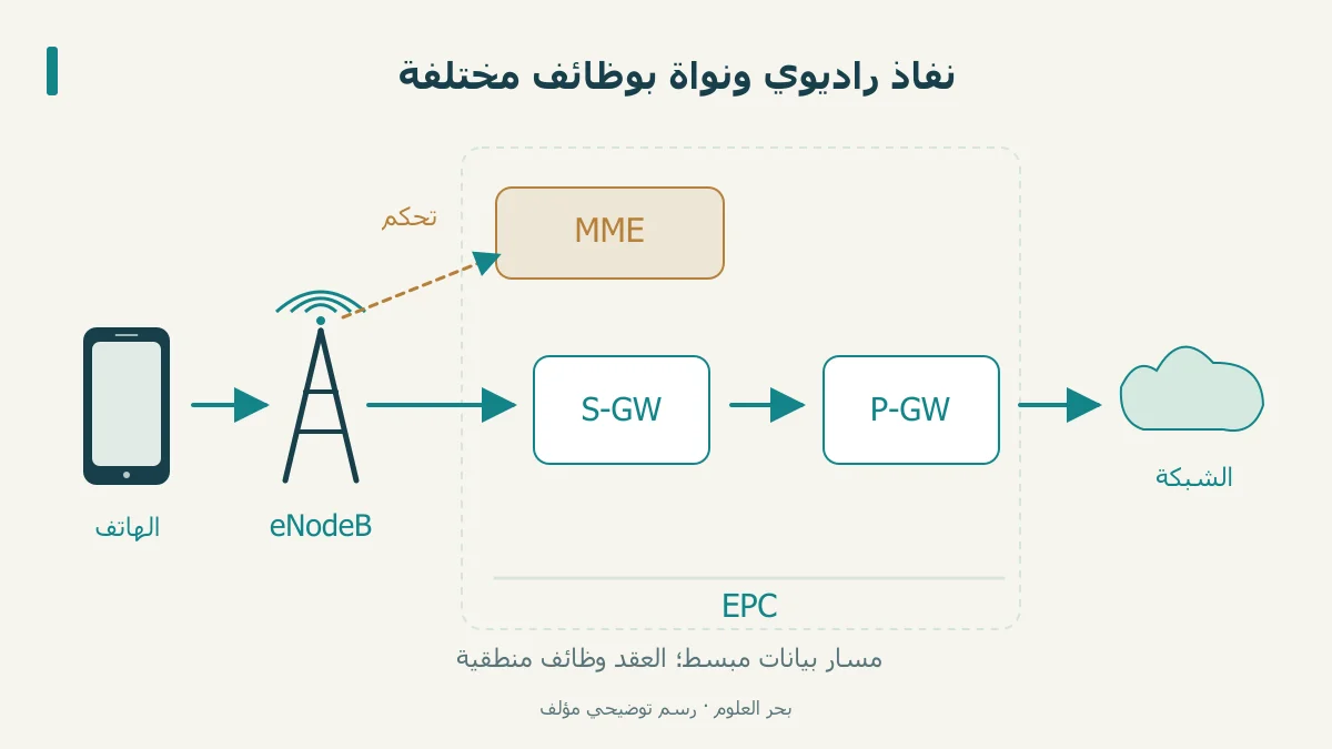 مسار بيانات LTE عبر eNodeB والبوابتين، مع MME للتحكم
