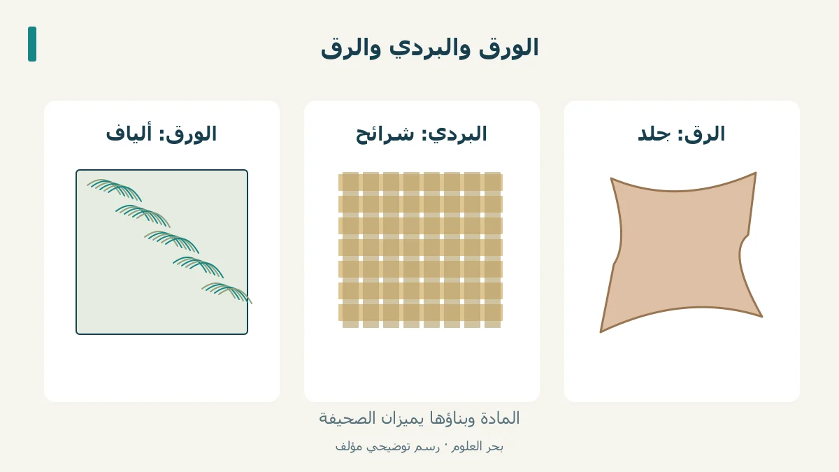 مقارنة بنية الورق الليفية بشرائح البردي المتقاطعة والرق الجلدي.