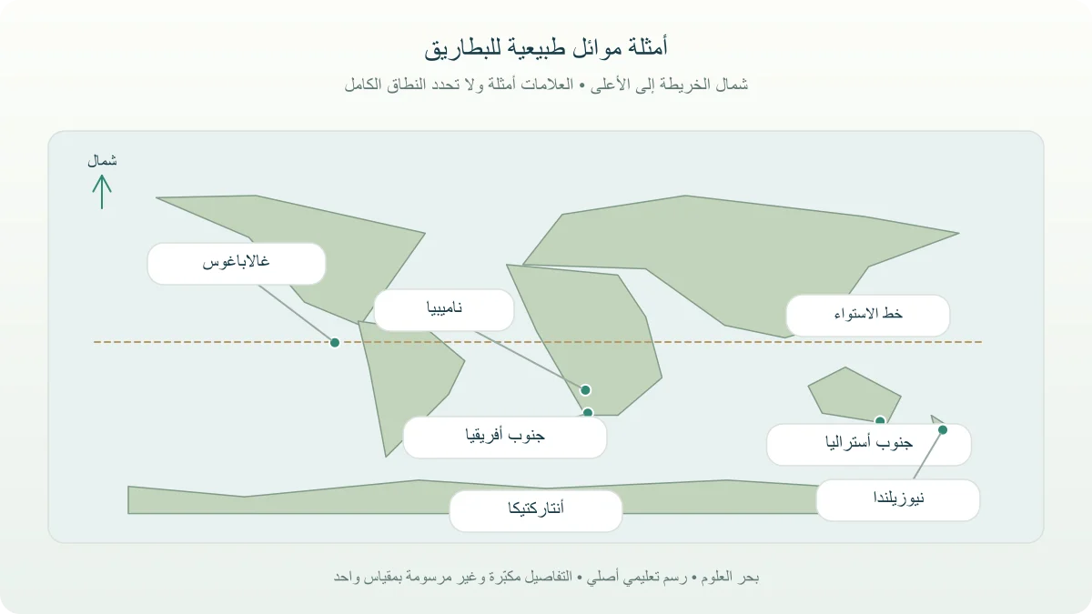 خريطة مفاهيمية لأمثلة موائل البطريق في أنتاركتيكا وأفريقيا وأستراليا وغالاباغوس