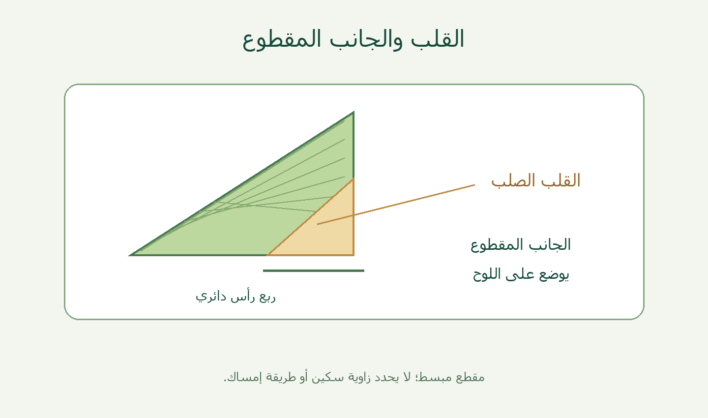 القلب والجانب المقطوع