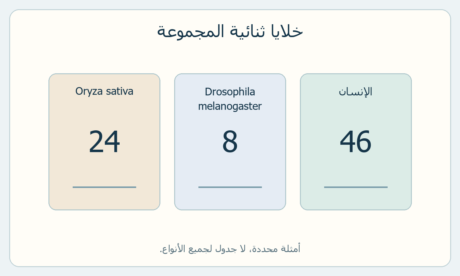 بطاقات أعداد كروموسومات الإنسان وذبابة الفاكهة والأرز