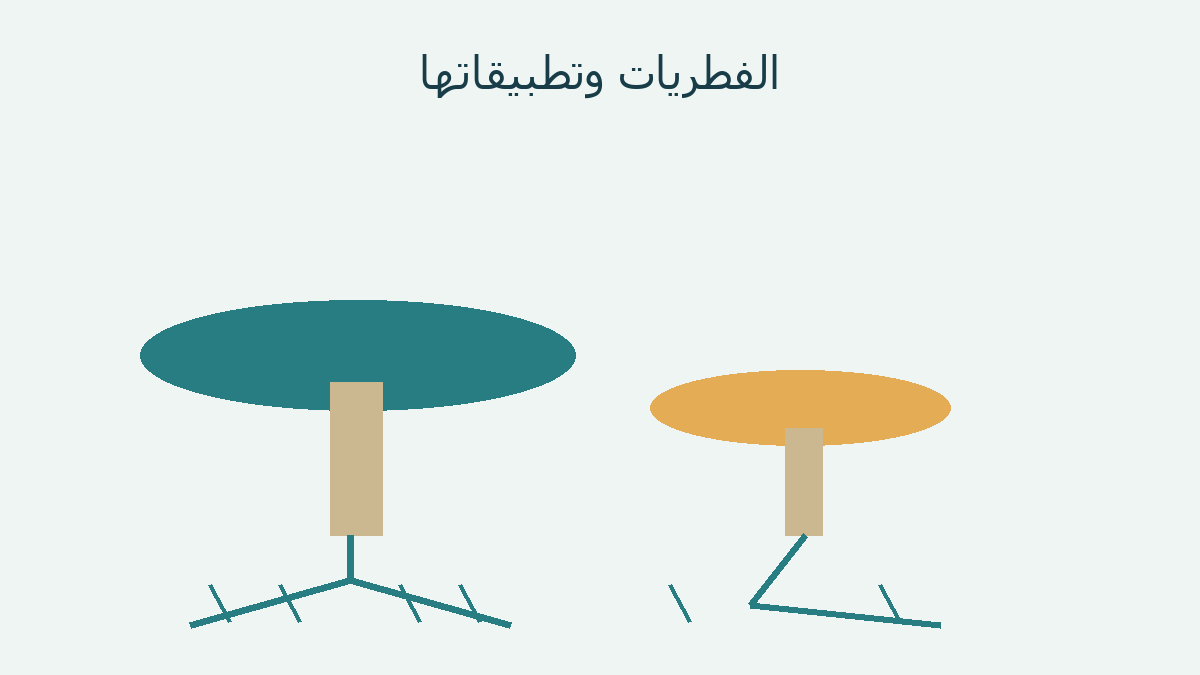 رسم أصلي لفطرين وشبكة خطوط ترمز للخيوط الفطرية