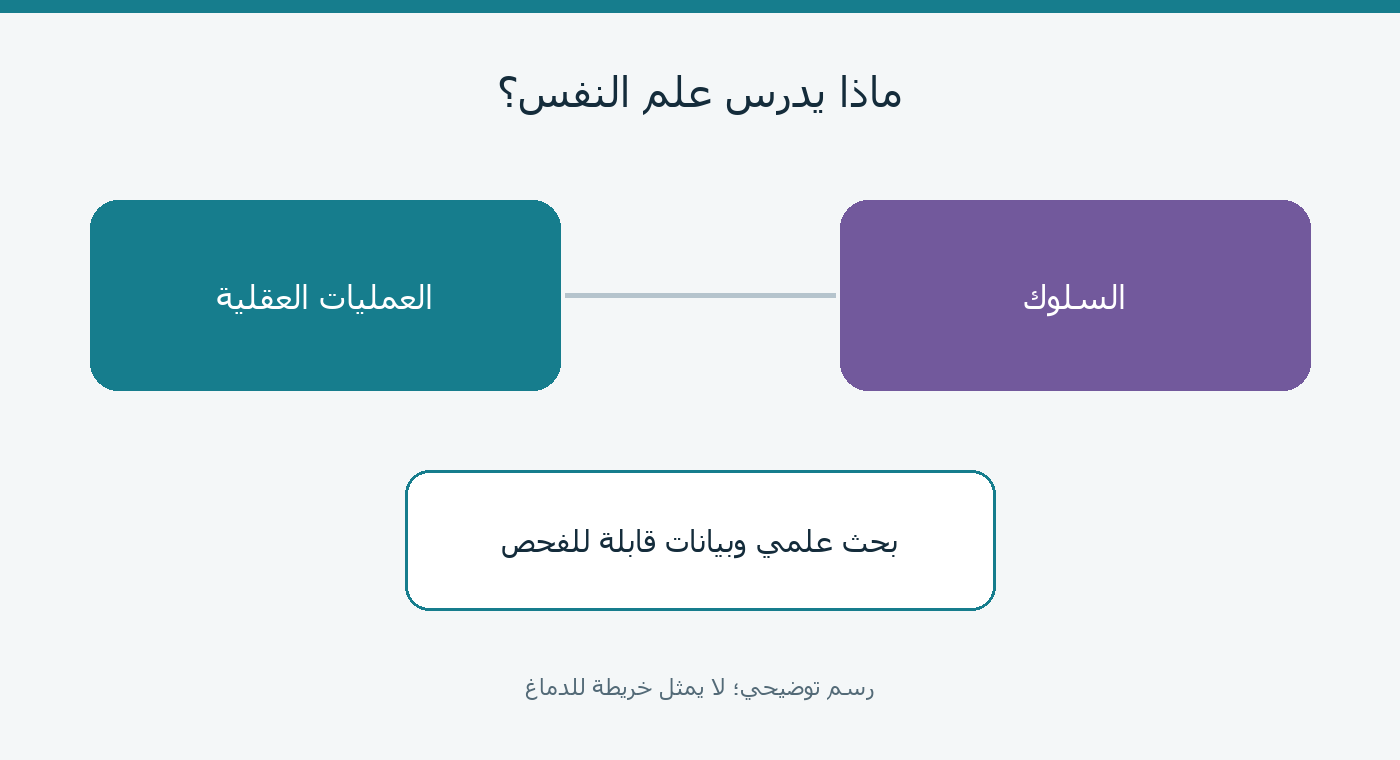 تصوير مفاهيمي للعقل والسلوك والبحث العلمي