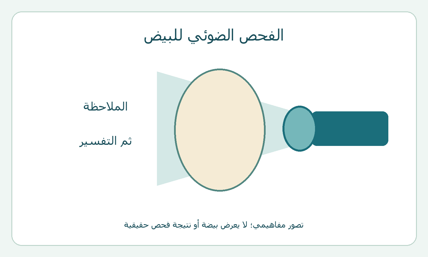 رسم بيضة وضوء؛ الملاحظة تحتاج تفسيرًا