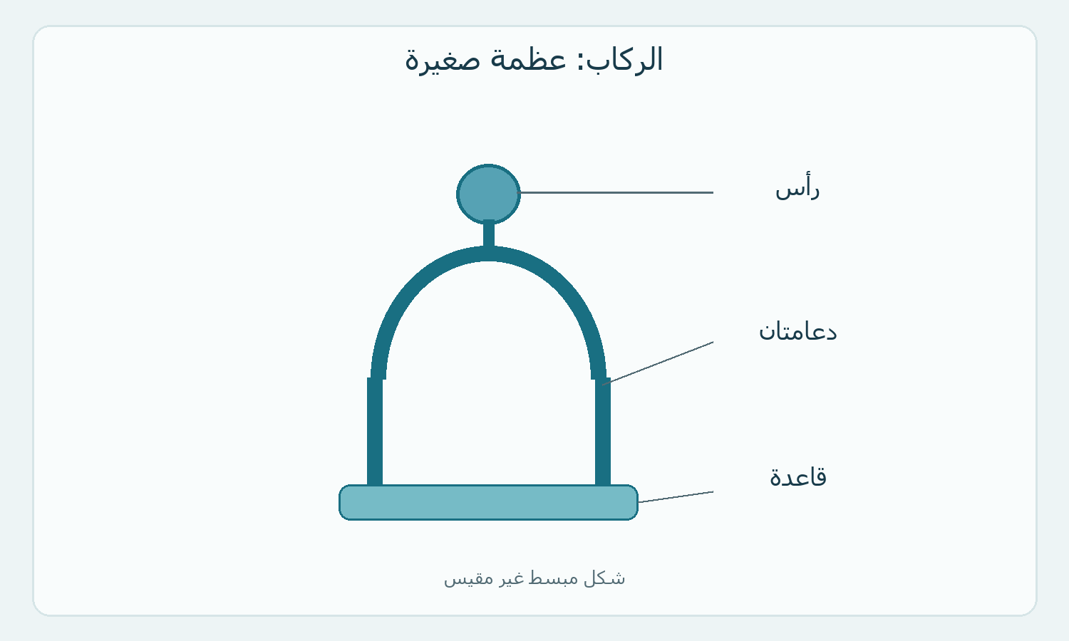 رسم مبسط للرأس والدعامتين والقاعدة في الركاب