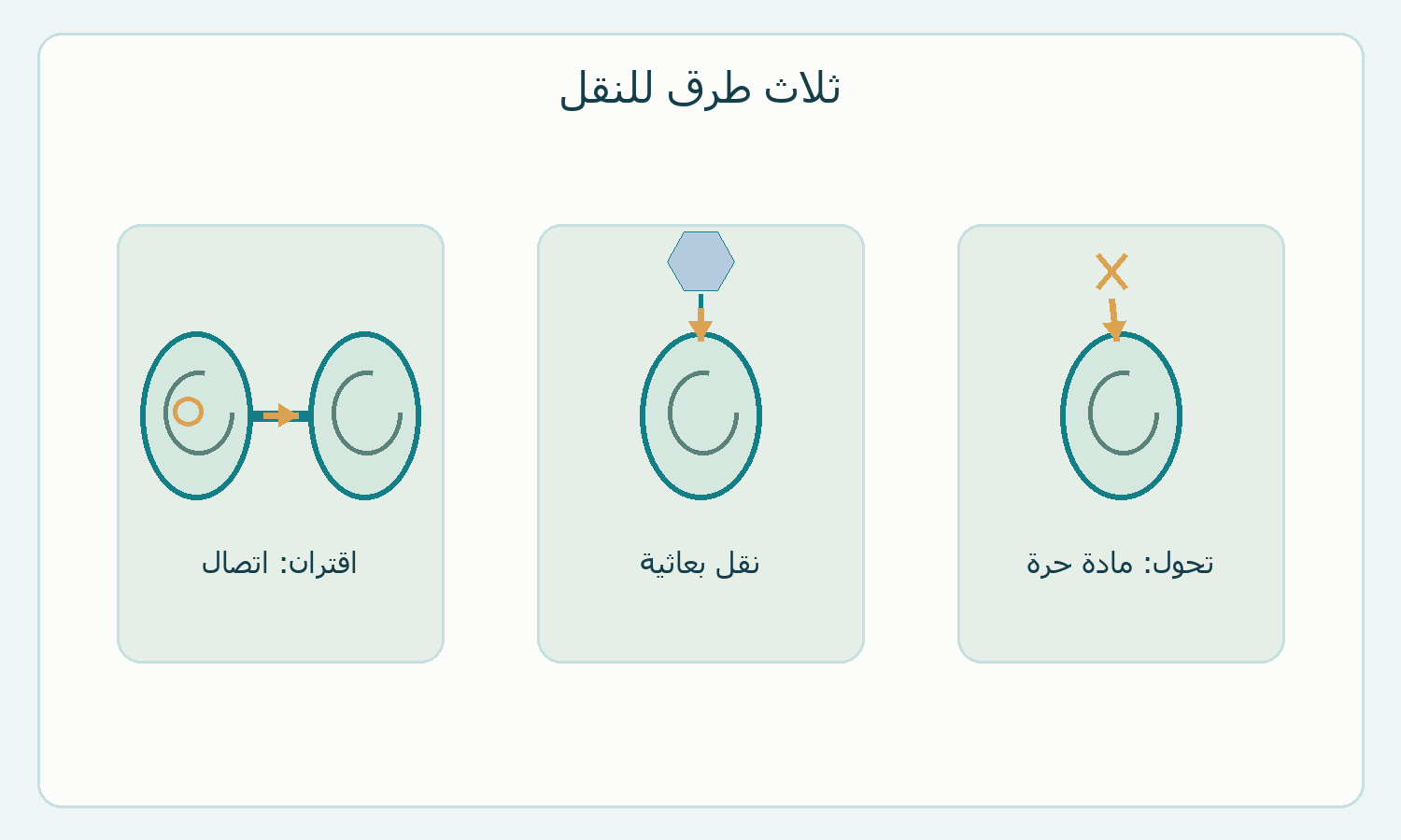 رسم أصلي يوضح ثلاثة مسارات مفهومية لحركة المادة الوراثية.
