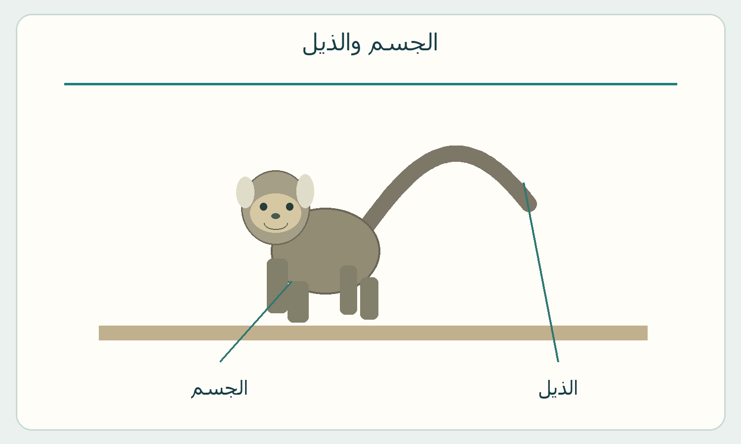 الجسم والذيل