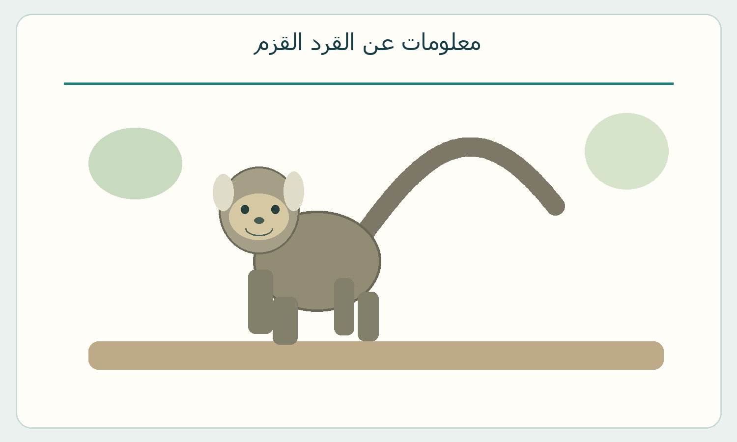 رسم تصوري لقرد صغير طويل الذيل.