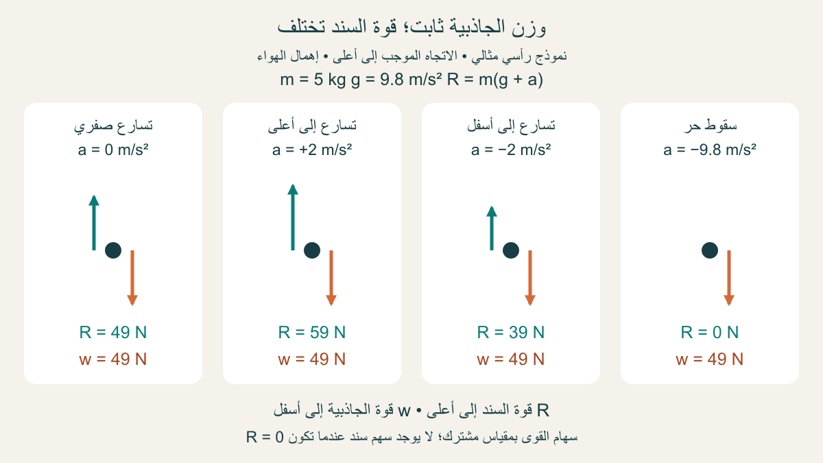 أربع حالات لكتلة5 كغ عندg9.8: وزن الجاذبية49 نيوتن ثابت، وقوة السند49 و59 و39 وصفر