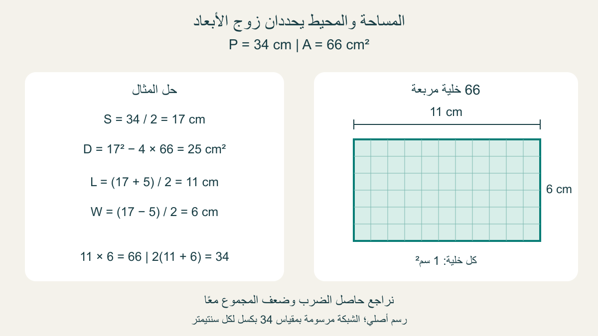 حل أصلي لمستطيل محيطه34 سم ومساحته66 سم مربع: طول11 سم وعرض6 سم مع شبكة66 خلية