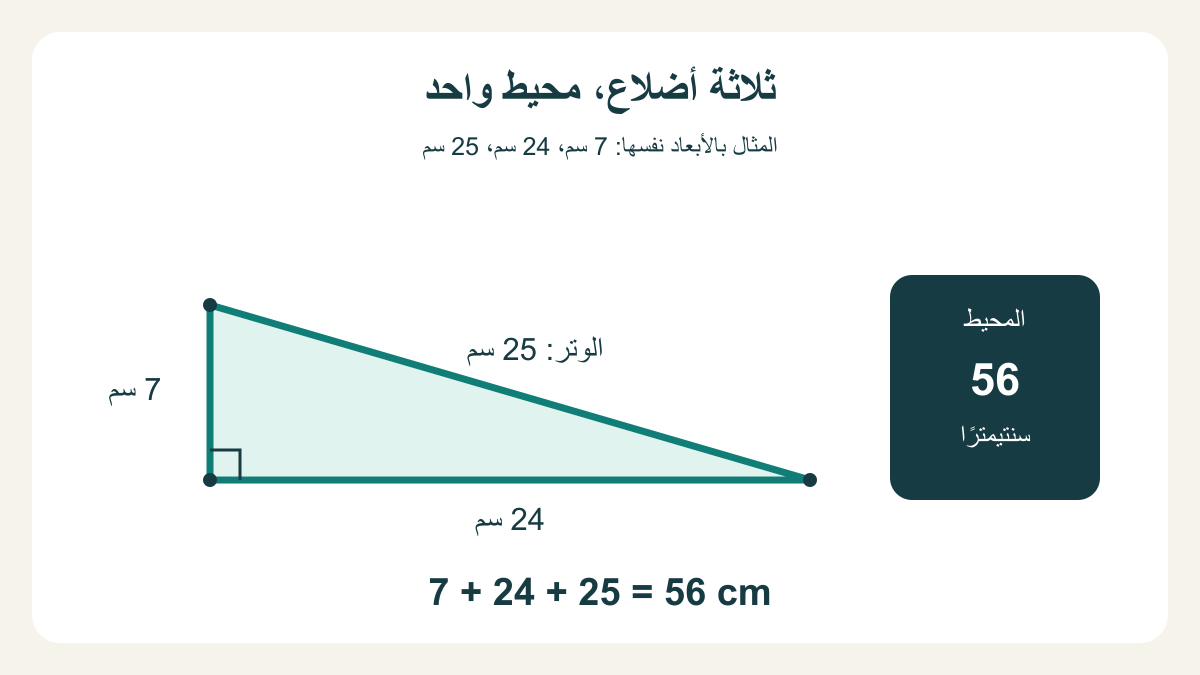 مثلث قائم بضلعي قائمة 7 و24 سم ووتر 25 سم ومحيط 56 سم