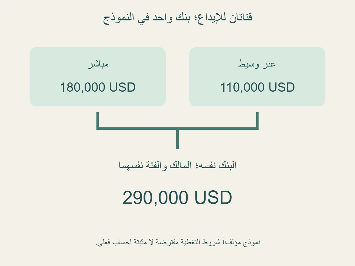 نموذج مؤلف: إيداع مباشر 180 ألف دولار وإيداع عبر وسيط 110 ألف لدى البنك نفسه لمالك واحد وفئة واحدة؛ الإجمالي 290 ألف
